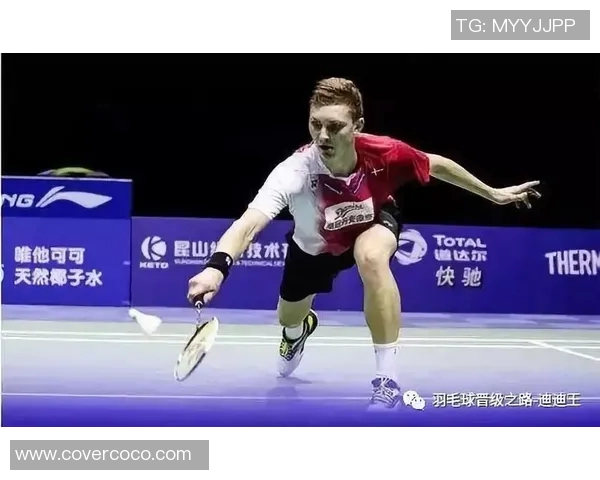 从零基础到高手羽毛球技巧与欧冠足球战术全解析