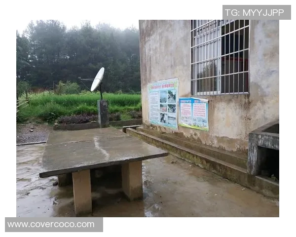 深度探讨黄军的篮球人生与欧冠足球的交织与启示