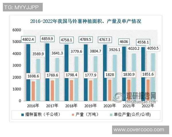 通过数据分析探讨西安排球队的节奏表现与比赛胜负关系